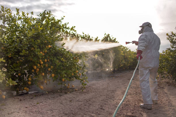 Best Best Pest Control Companies  in Lake Stickney, WA